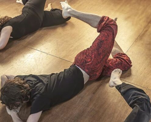 Feldenkrais Methode Wien Scorpion