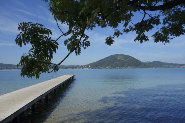 Feldenkrais Advanced Training